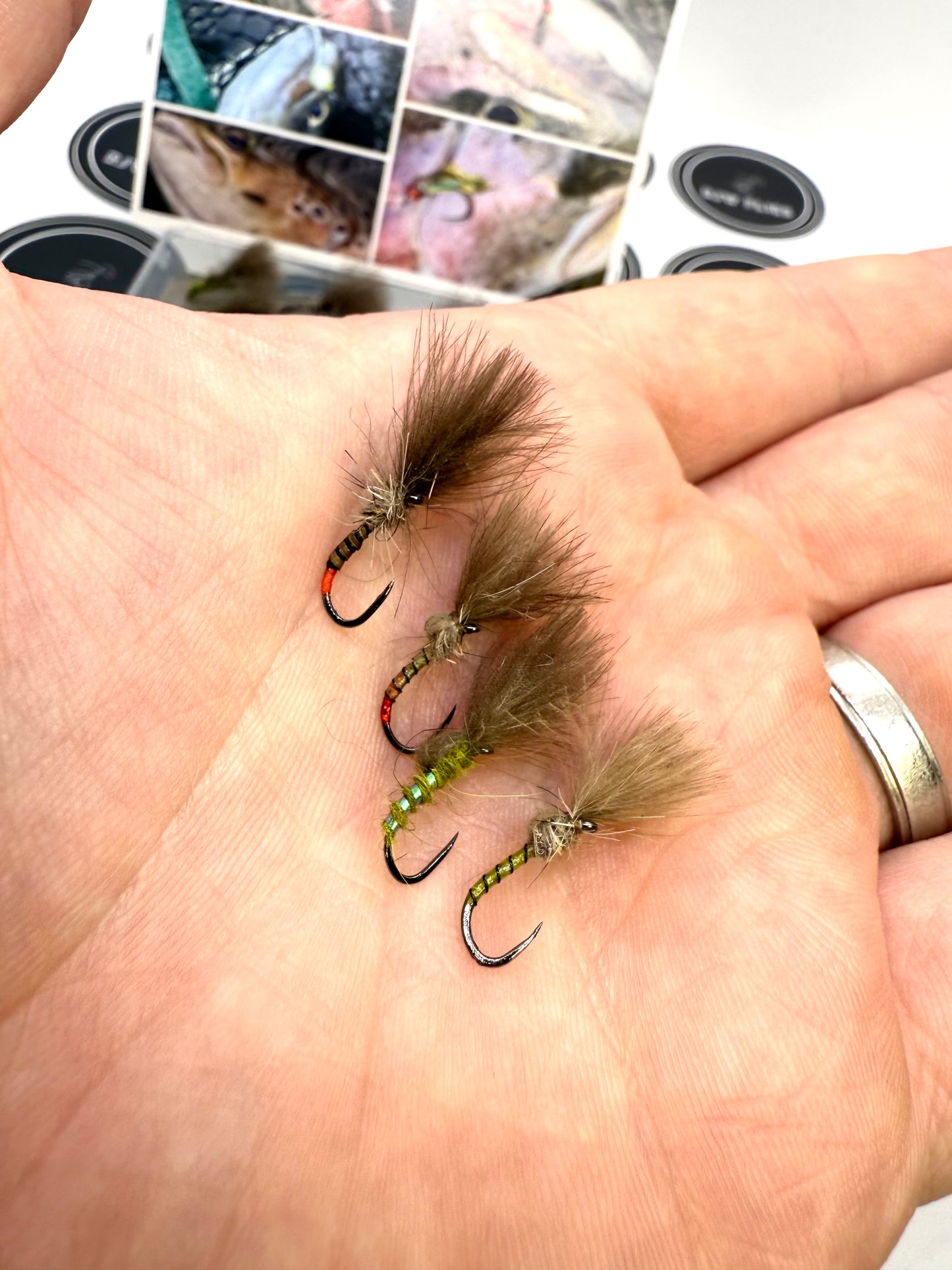 24 Shuttlecock Selection Box - Size 14