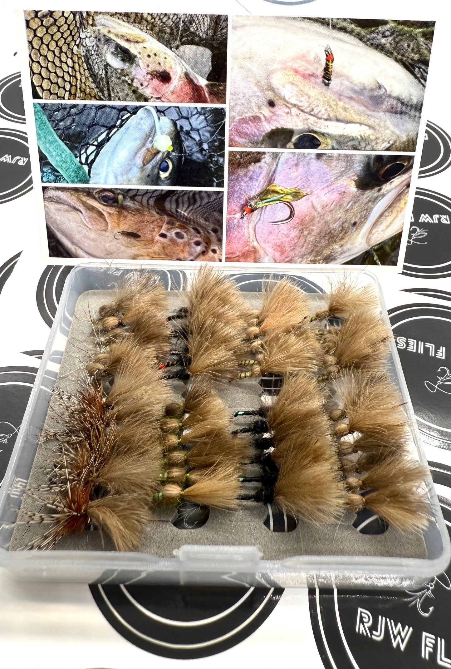 Shuttle Cock Selection box (#16)