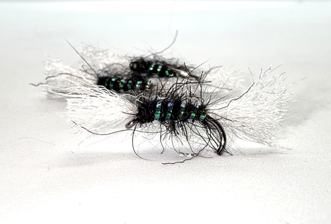 Pearly Black Shipman’s