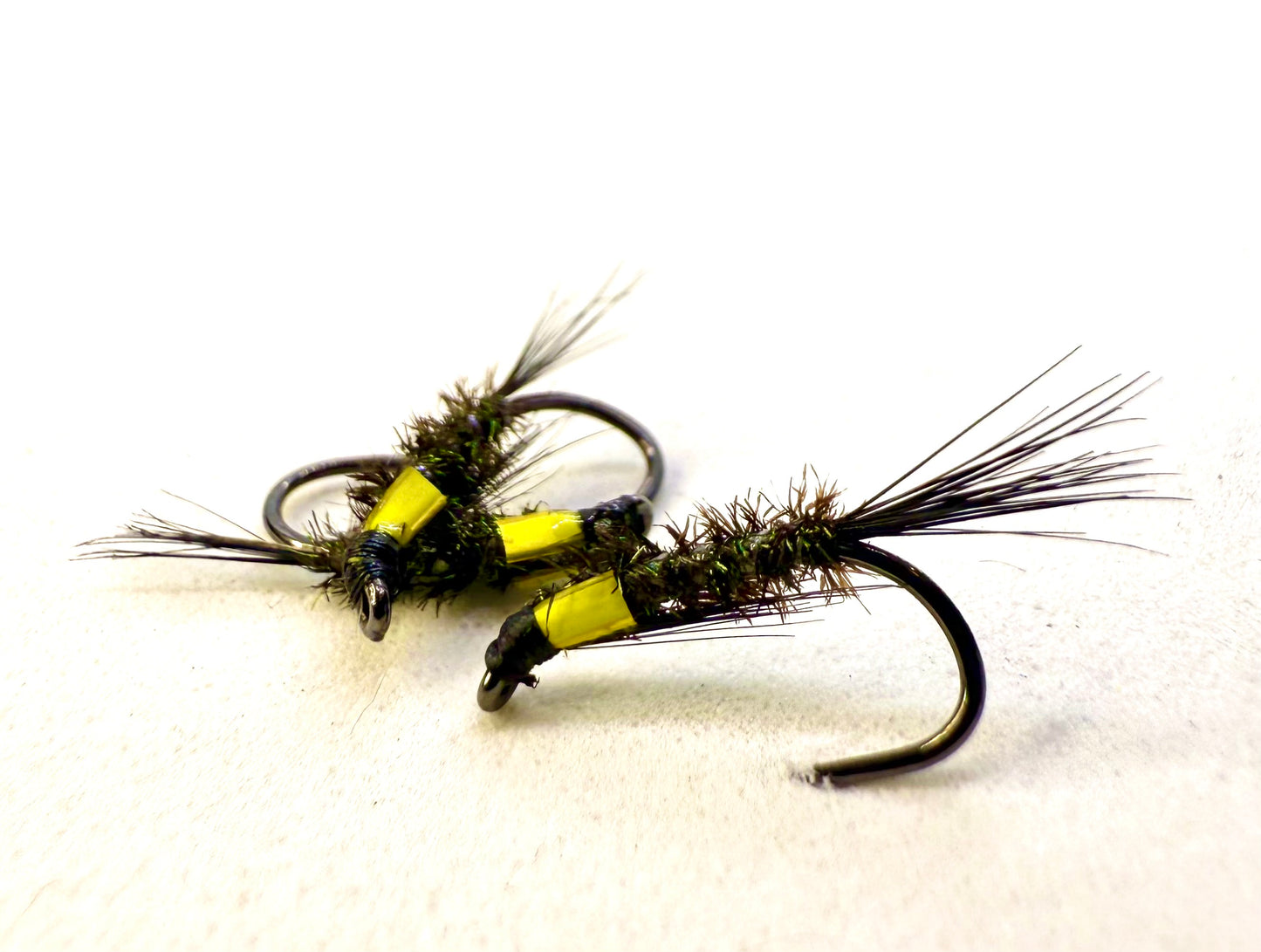 Yellow Cheeked Diawl Back