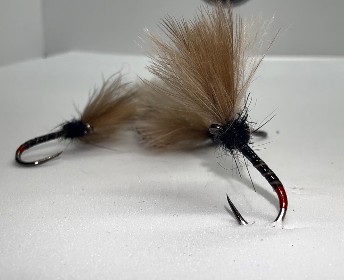 Black Quilled Shuttlecock (5 Flies)