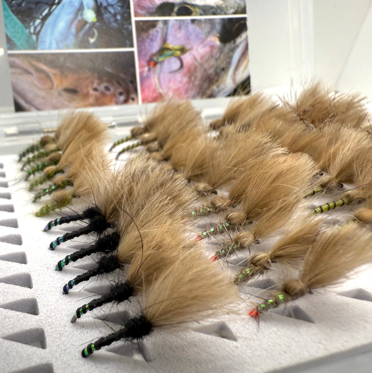 Full Range Shuttlecock Selection Box (48 Flies)