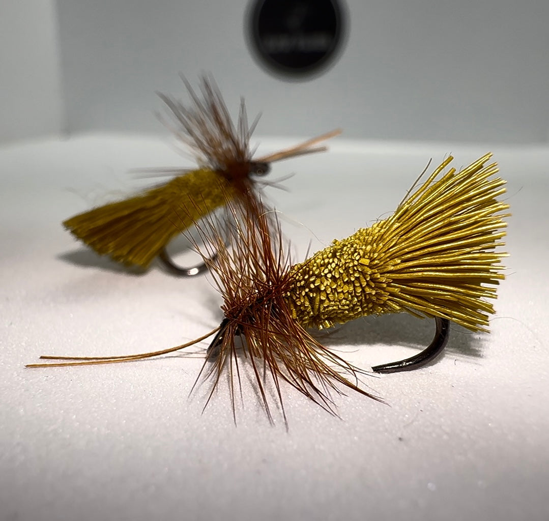 Olive G+H Sedge