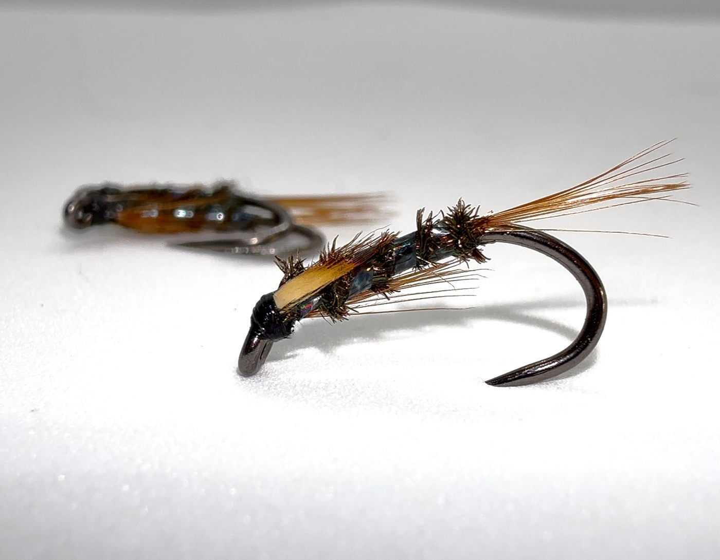 Pearly Diawl Back With JC