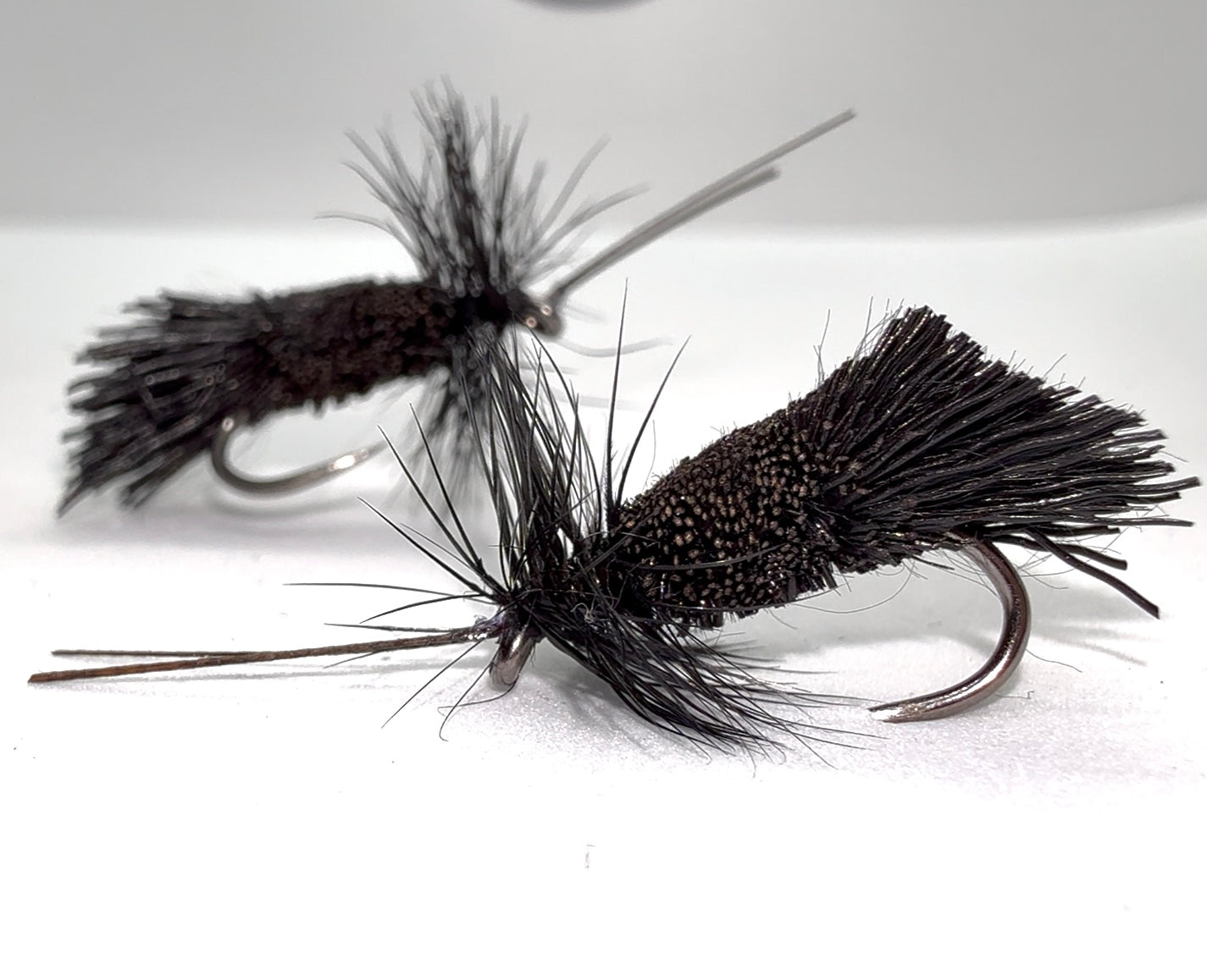 Black G+H Sedge