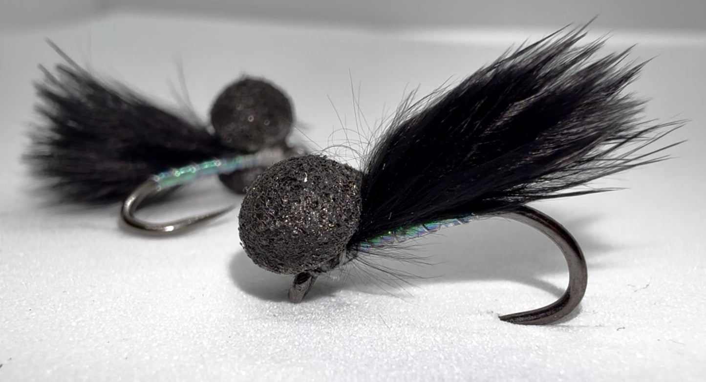 Pearly Cormorant Bobby