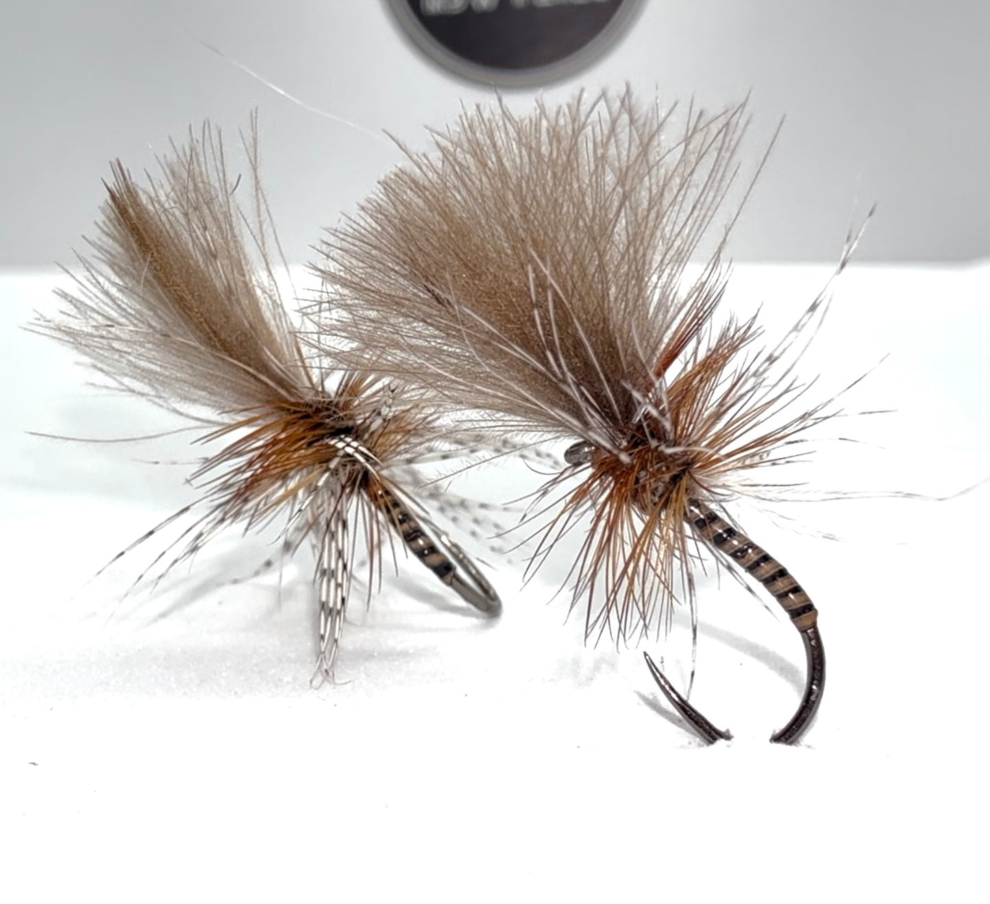 The Grunter