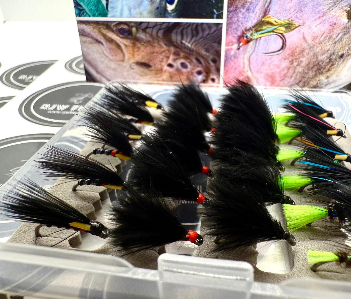 Cormorant Selection Box (Size 12) 24 Flies