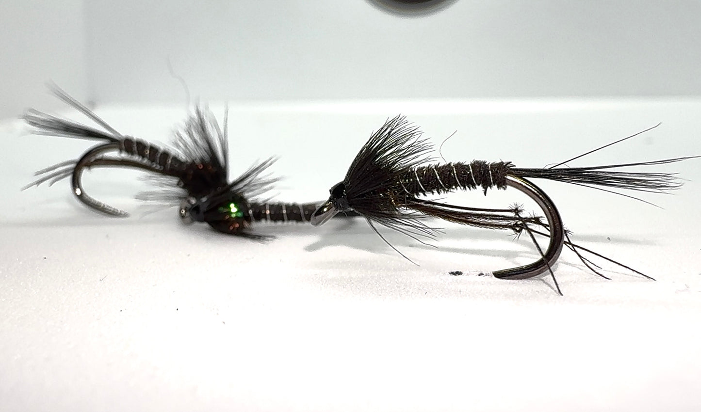 Black Leggy Cruncher