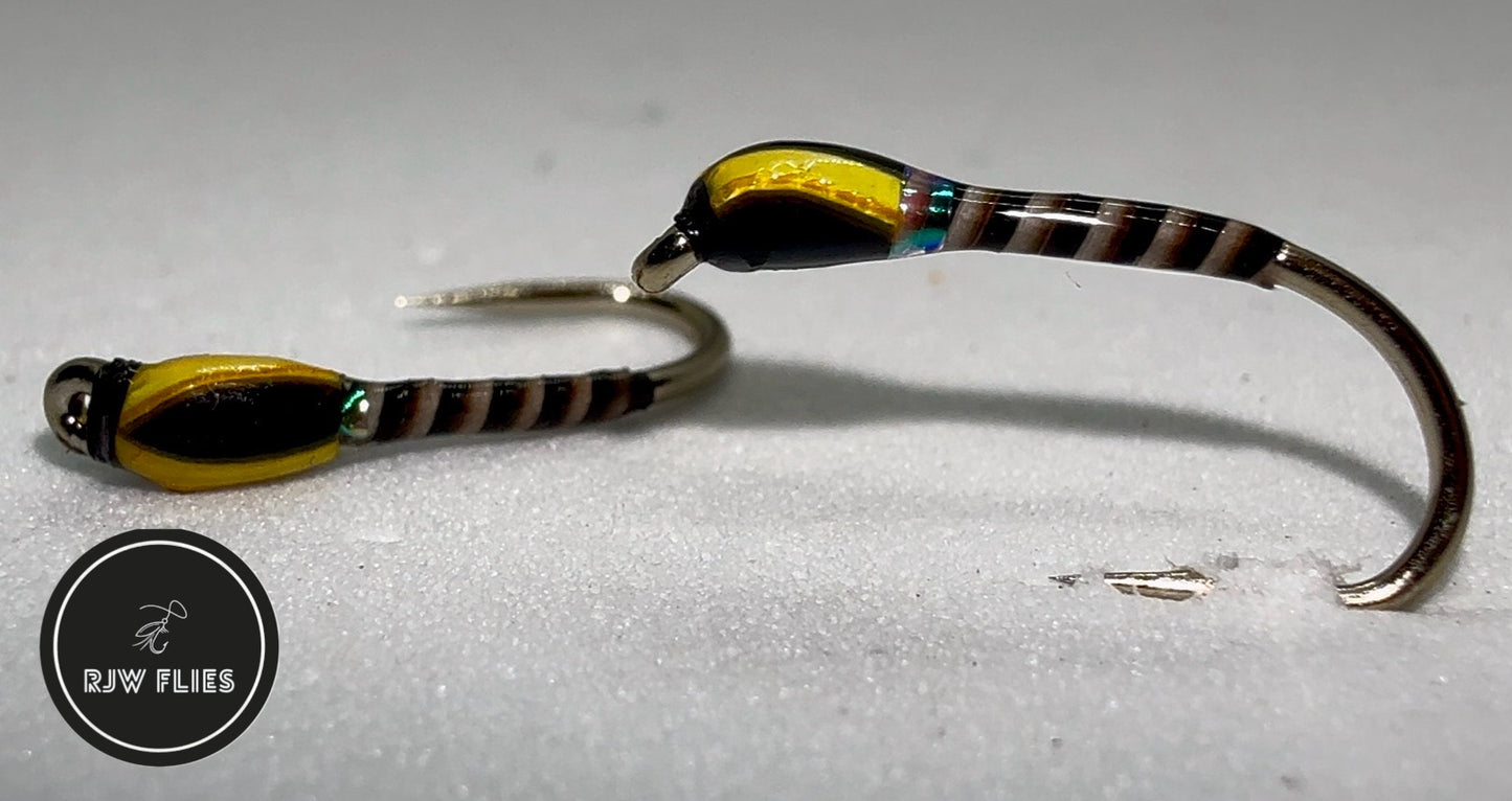 RJW Orange Cheek / Pearl Collar Quilled Buzzer