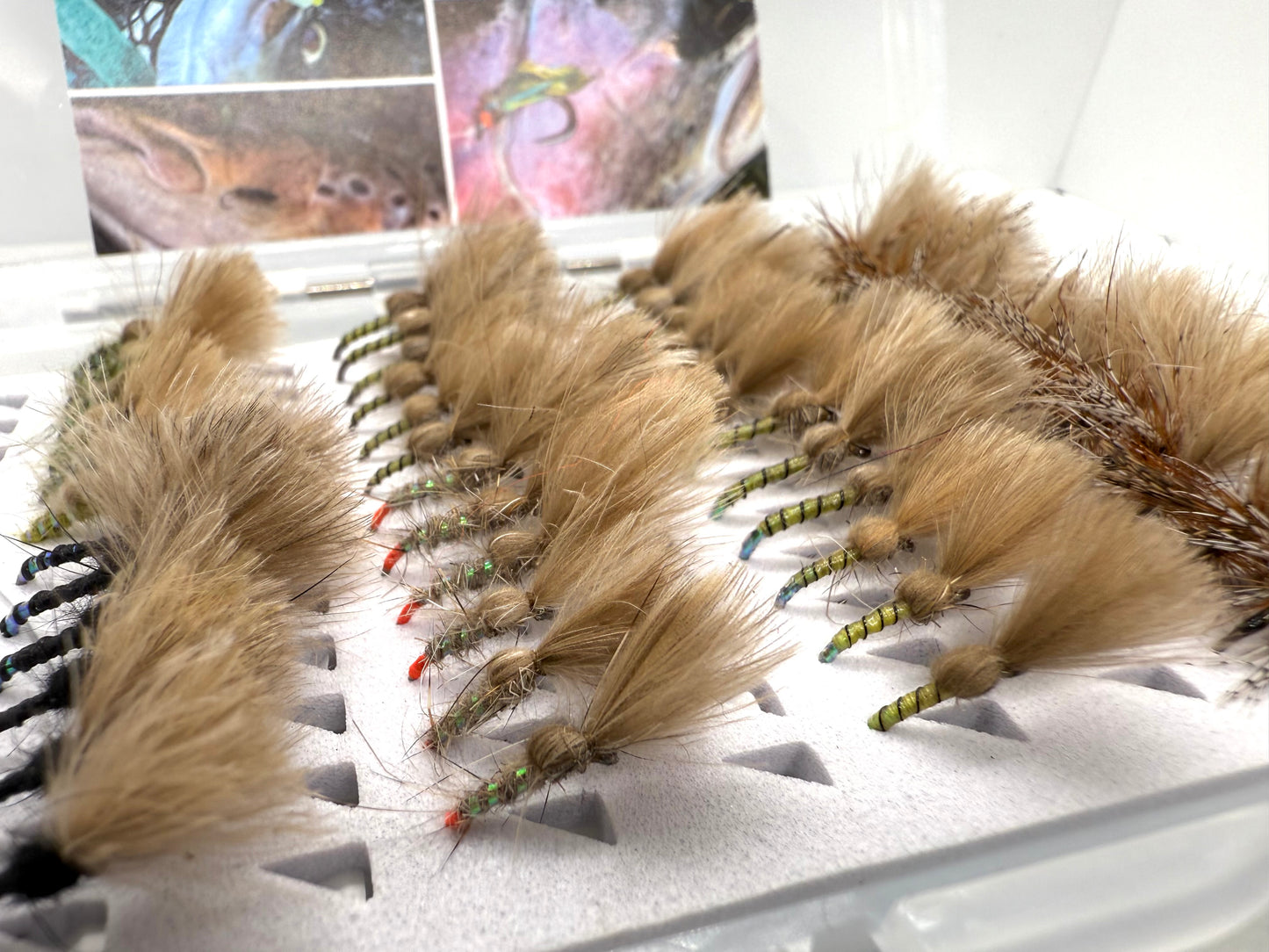 Full Range Shuttlecock Selection Box (48 Flies)