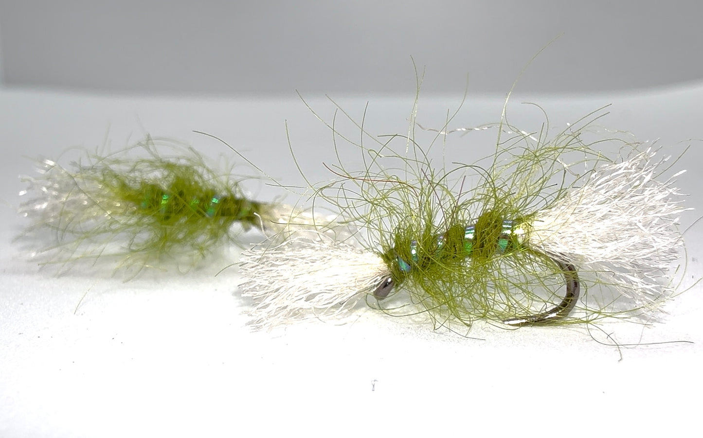 Scruffy Olive Shipman’s