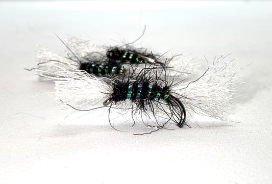 Pearly Black Shipman’s
