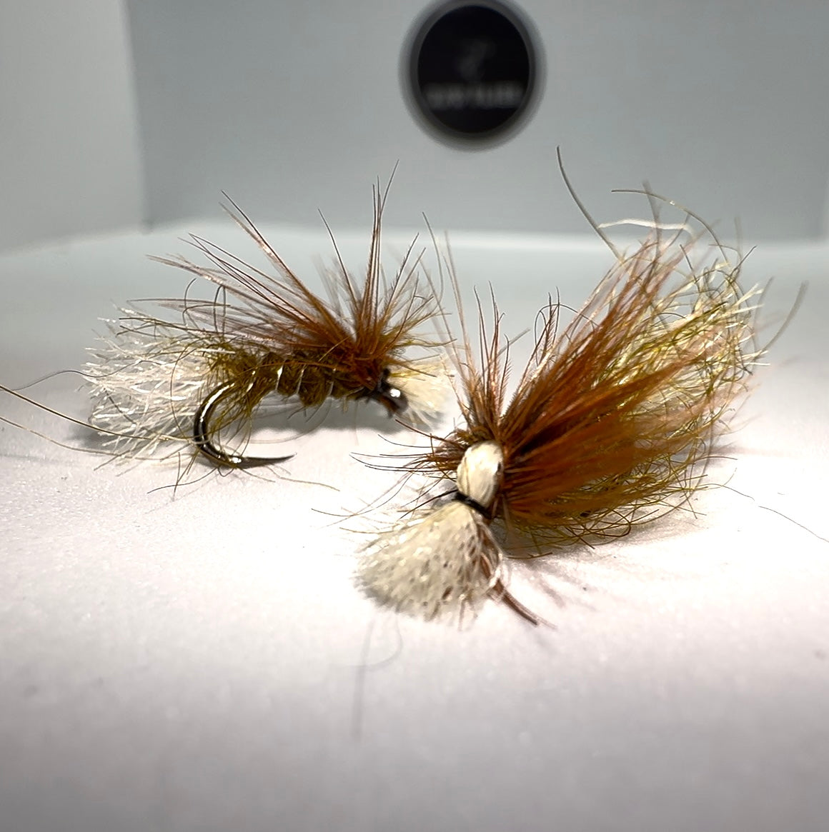 Olive Crippled Midge