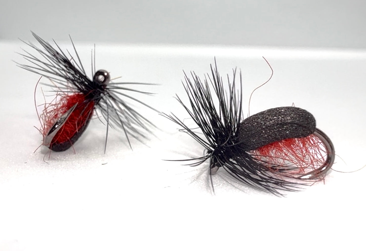 Black and Red Foam Beetle