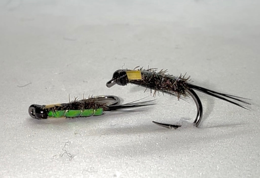 Pearl Flash Diawl Back (Yellow Cheeks)