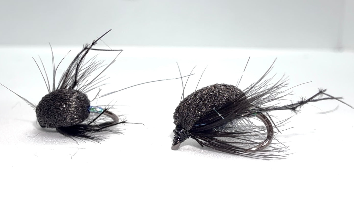 Pearly Black Foam Beetle