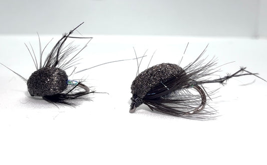 Pearly Black Foam Beetle
