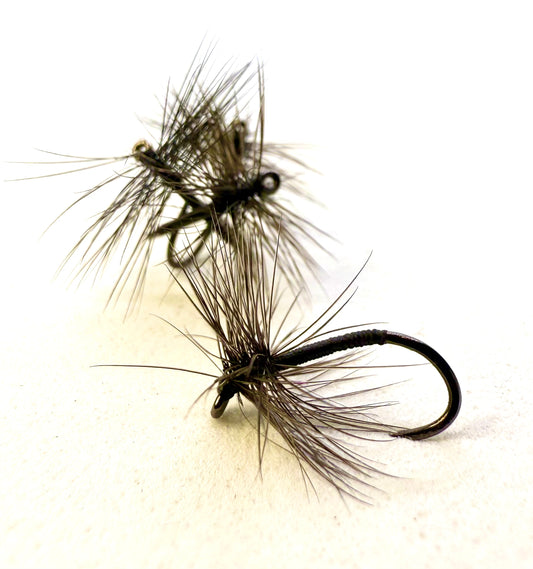Black Spider - Size 12