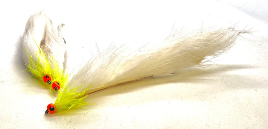 Hot Head White Cat Snake