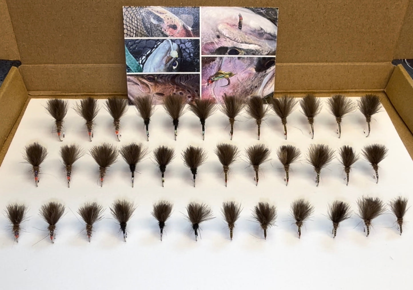 RJW Signature Shuttlecock Selection