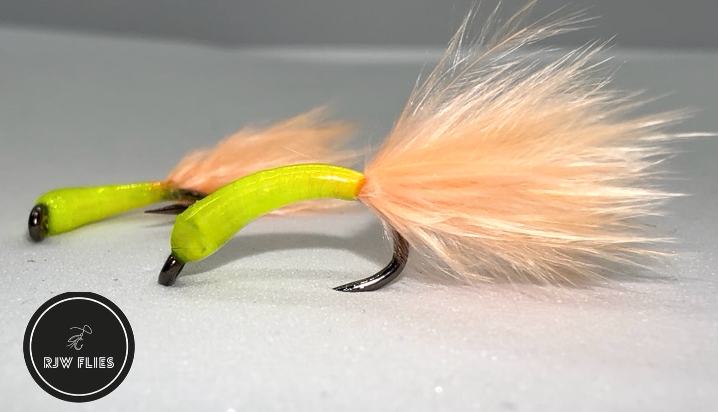 RJW Coral Cat Bug
