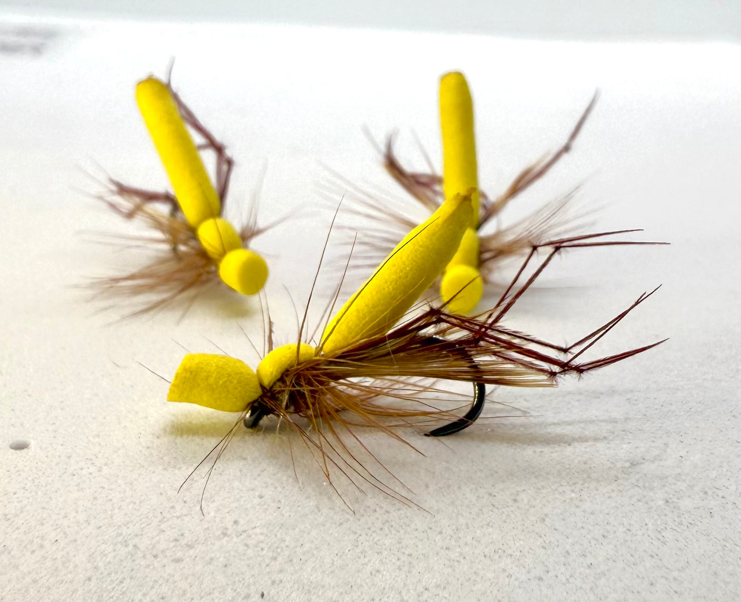 Foam Daddy Long Legs Selection Box!