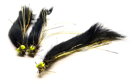 Black and Gold Snake