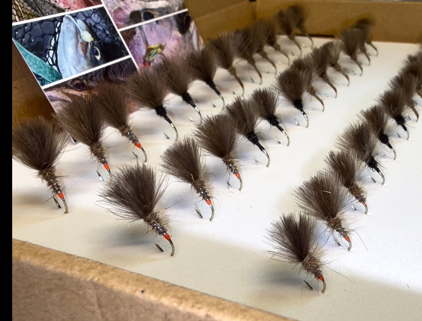 RJW Signature Shuttlecock Selection