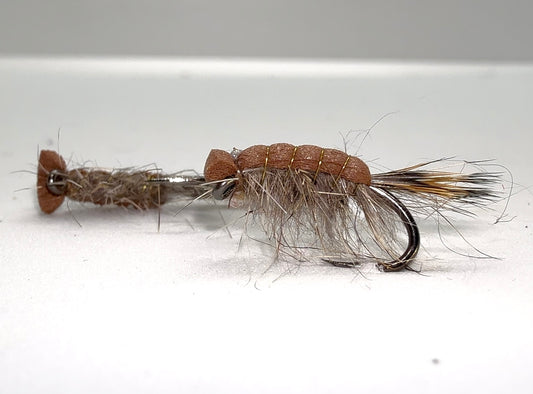 Tan Killer Shrimp