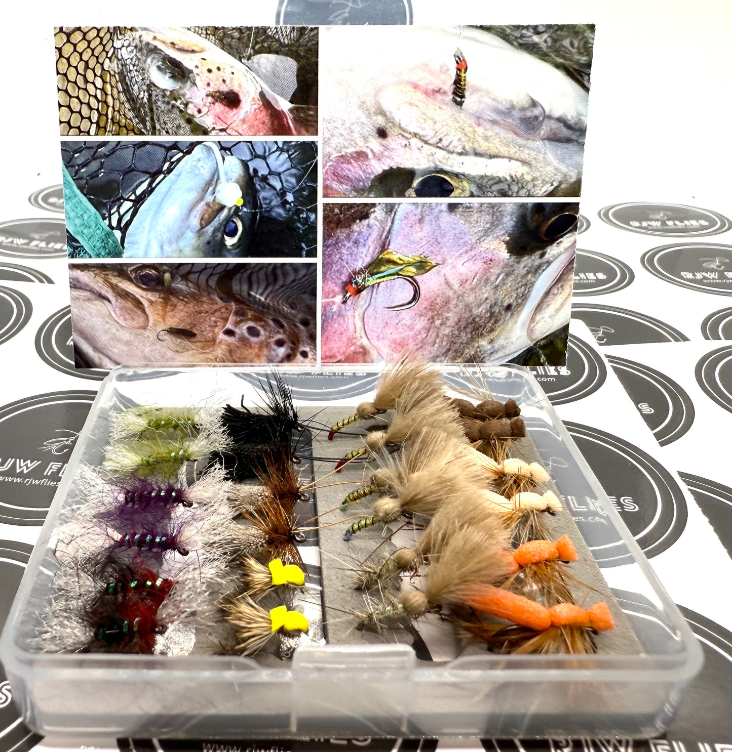 Mini Dry Fly Selection Box