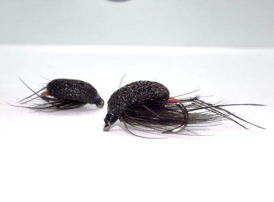 Orange Tag Black Foam Beetle