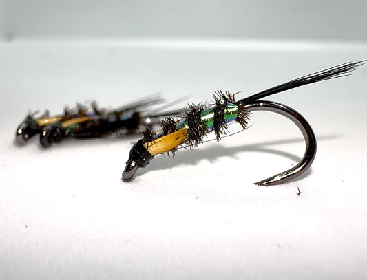Pearly Diawl Back With JC