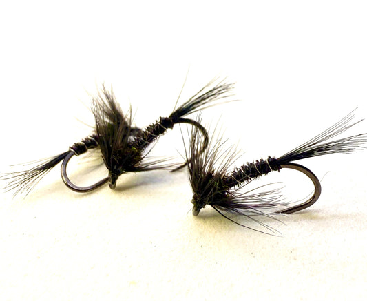 Black Cruncher - Size 12