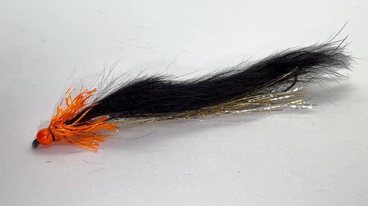 Orange and Black Snake