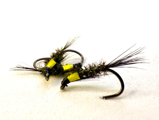 Yellow Cheeked Diawl Back