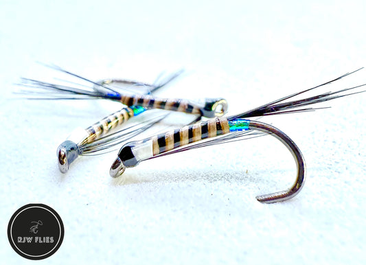 RJW Stripped Quill Diawl Back