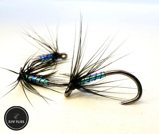 RJW Pearly Black Spider