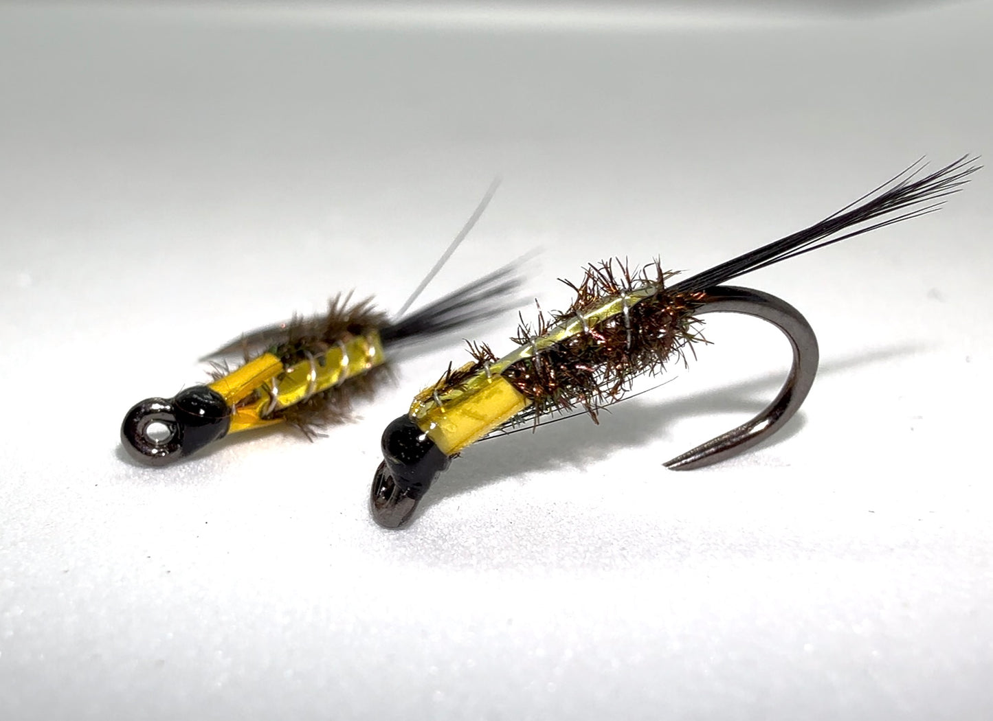 Yellow Cheek Gold Flash Back Diawl Bach