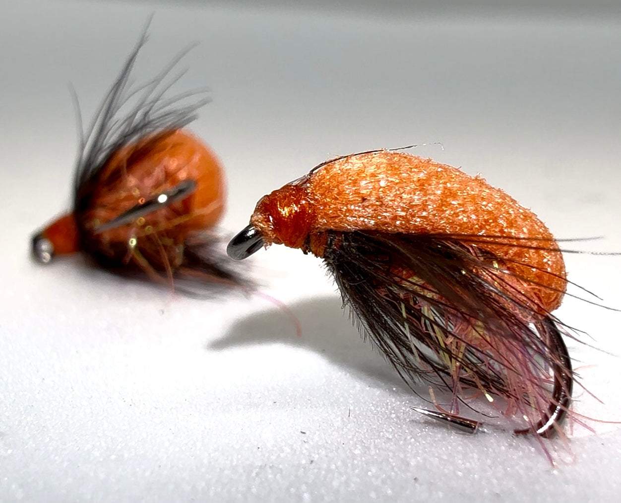 Orange Foam Beetle