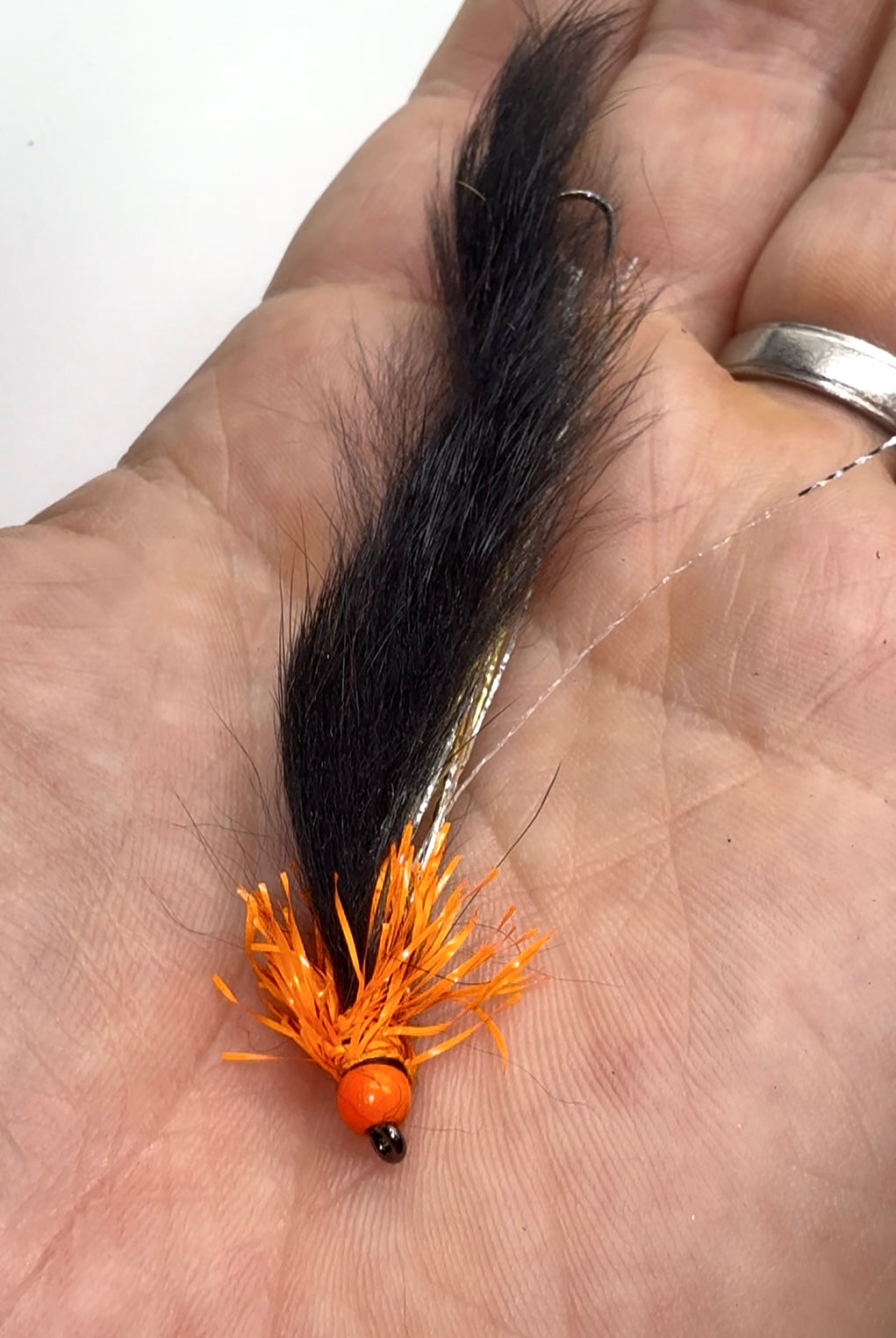 Orange and Black Snake