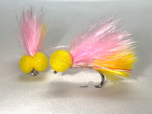 Sunburst Tailed Candyfloss Booby