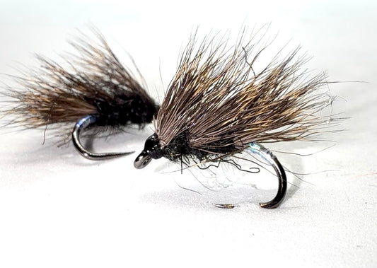 Black Sedge Hog