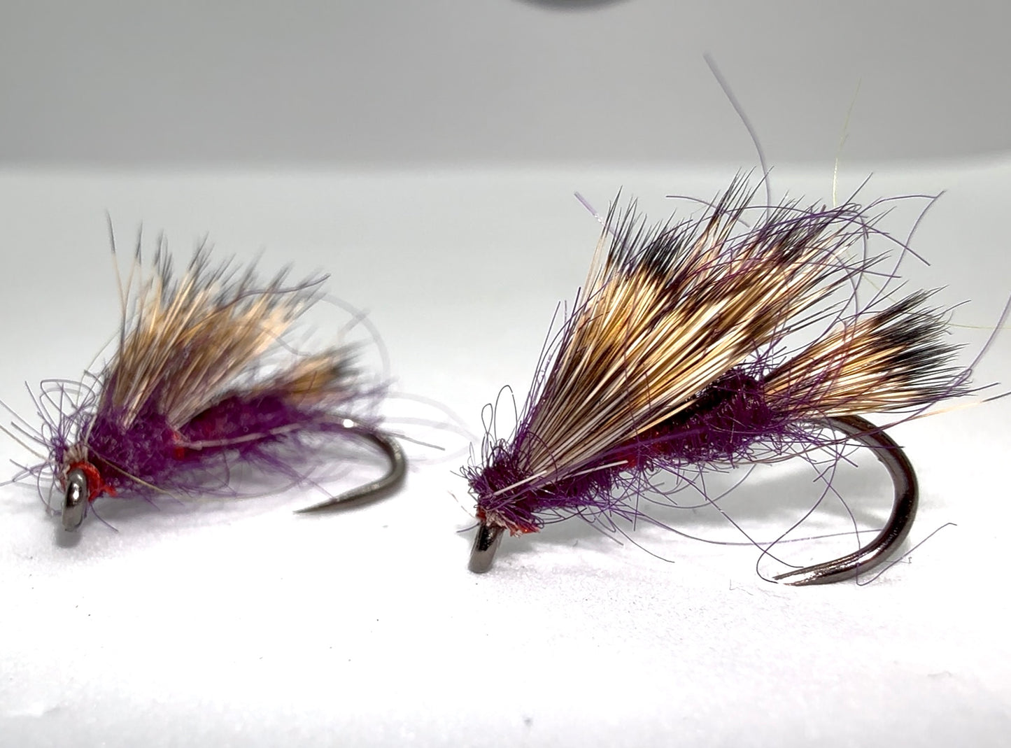 Claret Sedge Hog