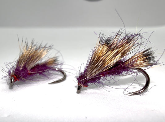Claret Sedge Hog