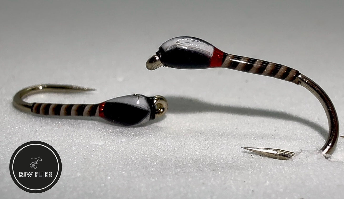 RJW Quilled Buzzer / Red Holographic Collar & White Cheeks