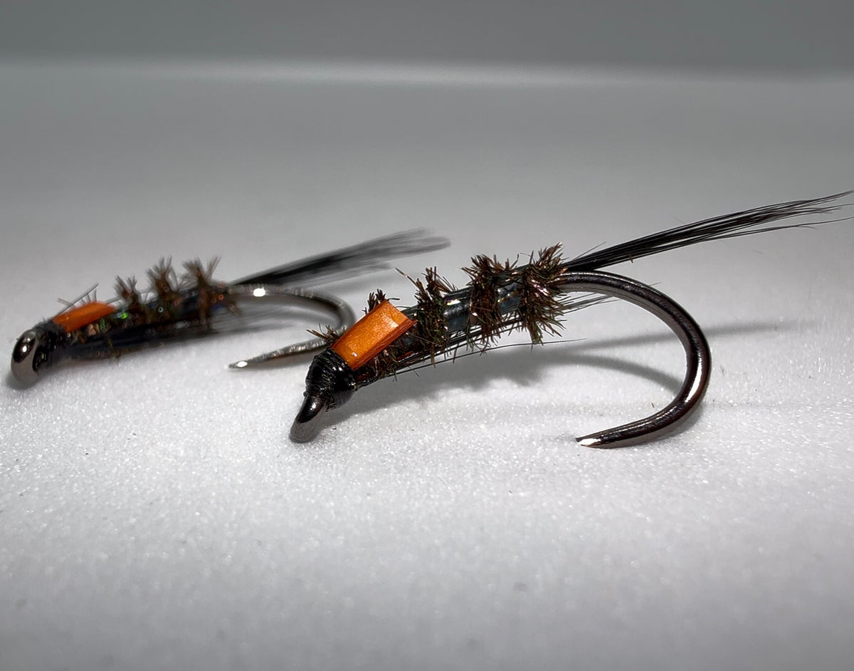 Black Holographic Diawl Bach