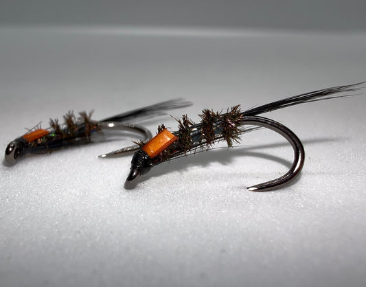 Black Holographic Diawl Bach