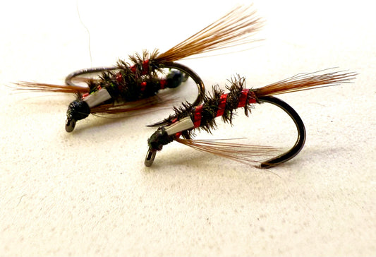 White Cheeked Diawl Back - Size 12