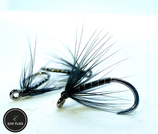RJW Black Spider